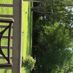 Meet your Posher, Rosemary